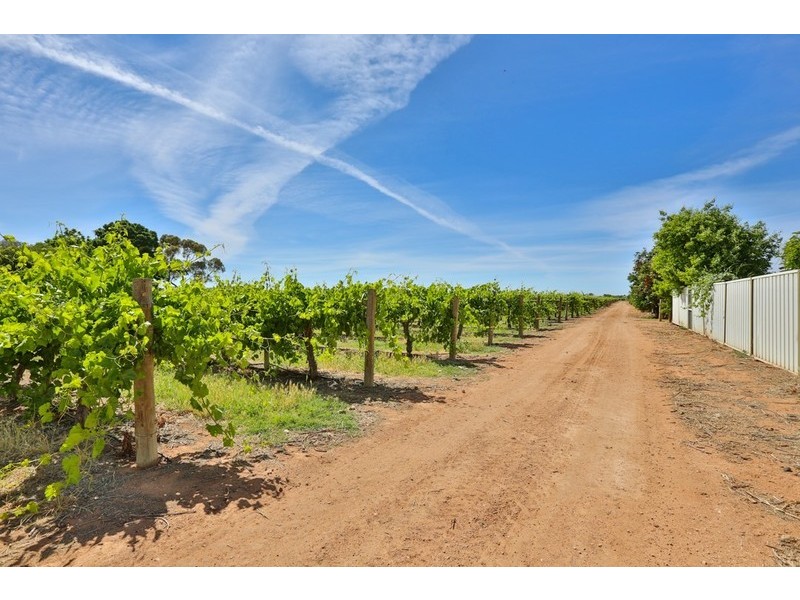 151 Ginquam Avenue, Irymple VIC 3498