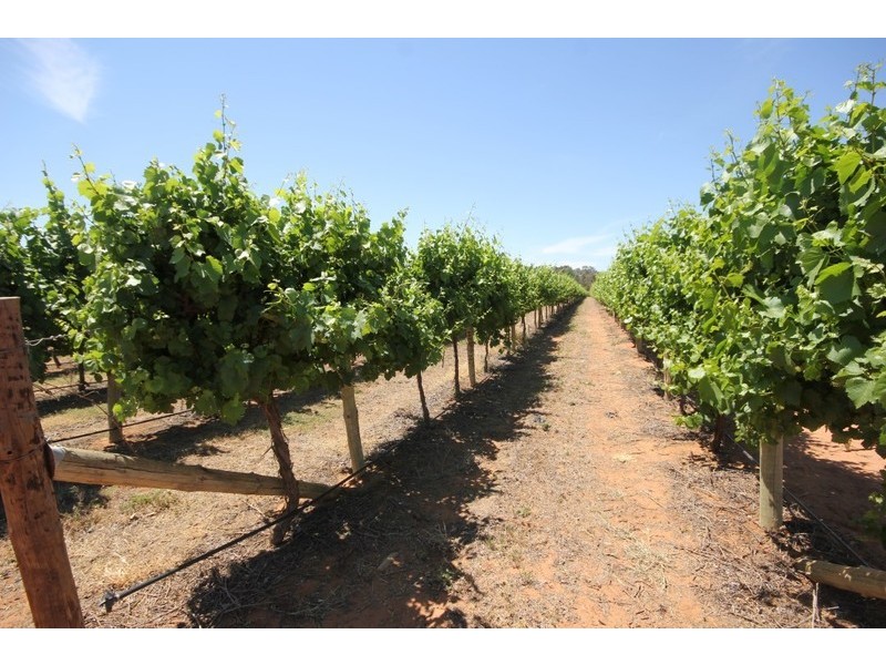 174 Alkira Road, Yelta VIC 3505