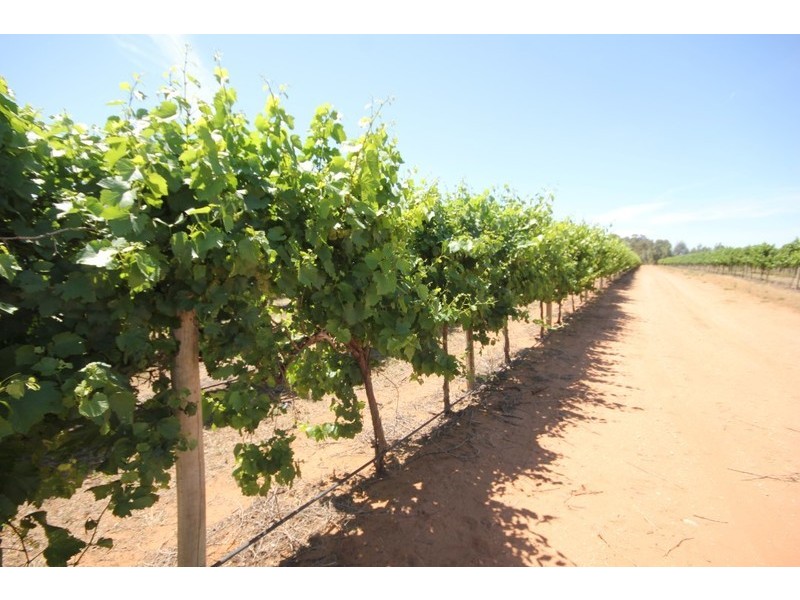 174 Alkira Road, Yelta VIC 3505