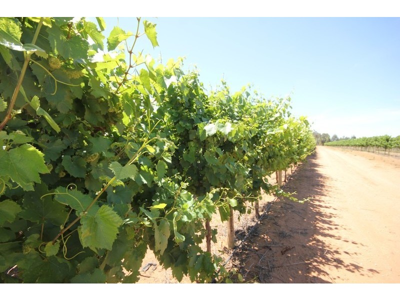 174 Alkira Road, Yelta VIC 3505