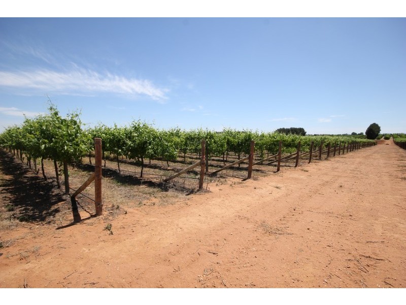 174 Alkira Road, Yelta VIC 3505