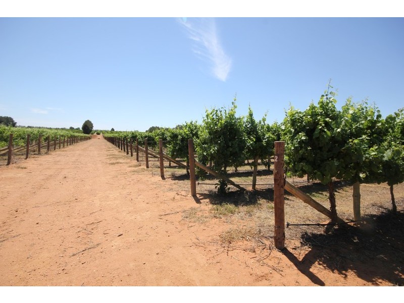 174 Alkira Road, Yelta VIC 3505