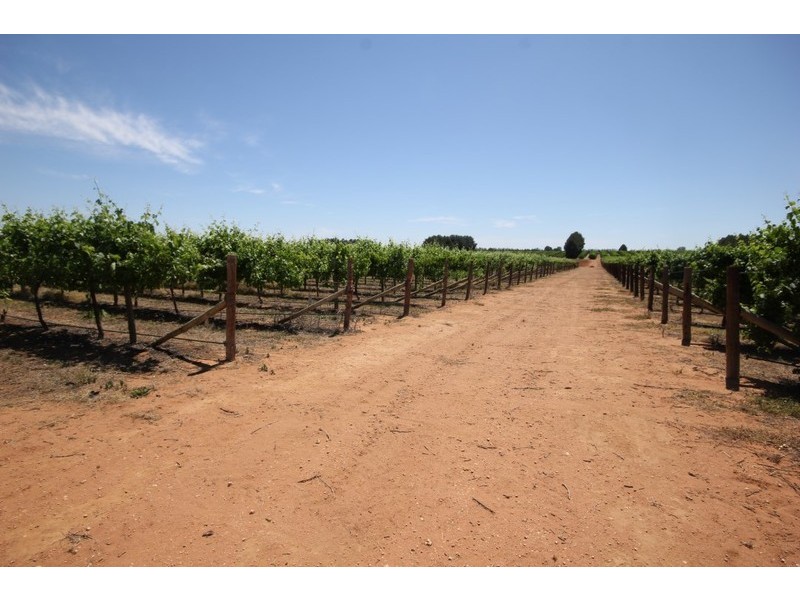 174 Alkira Road, Yelta VIC 3505