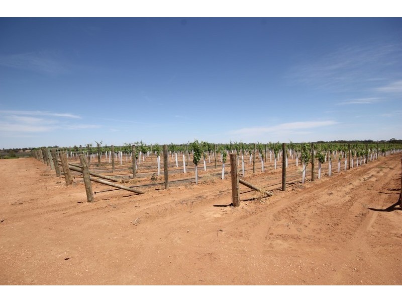 174 Alkira Road, Yelta VIC 3505