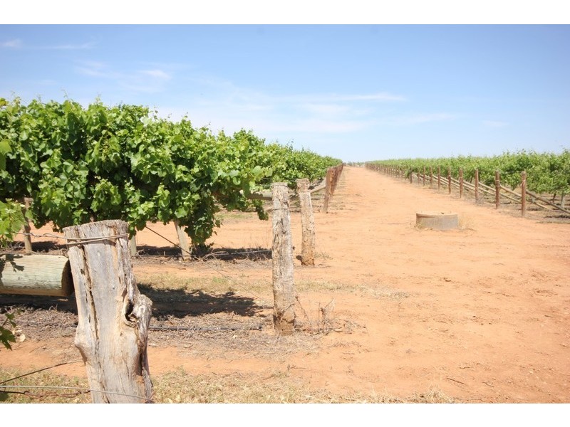 174 Alkira Road, Yelta VIC 3505