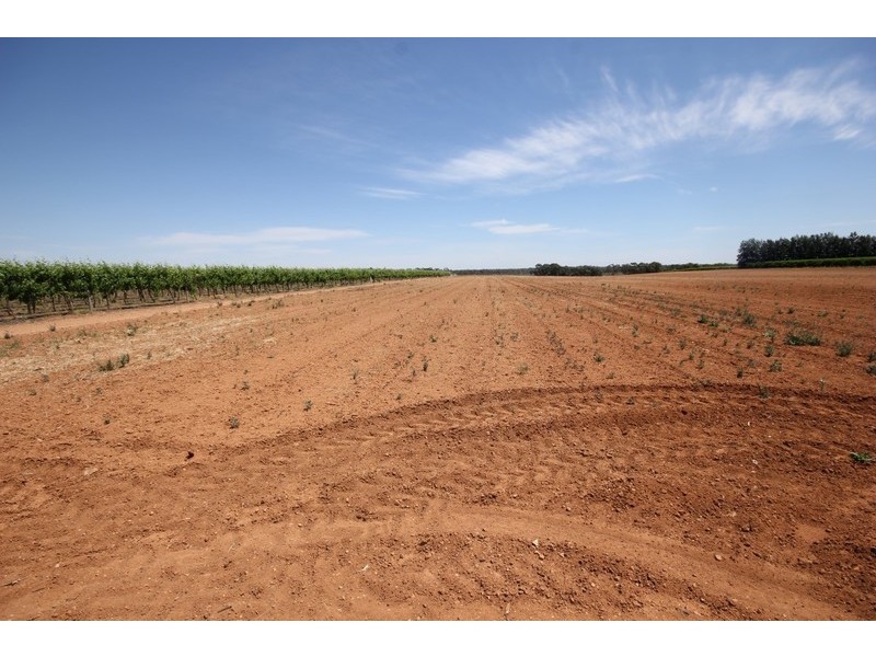 174 Alkira Road, Yelta VIC 3505