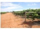 294,310,311 Tulloch Road, Red Cliffs VIC 3496