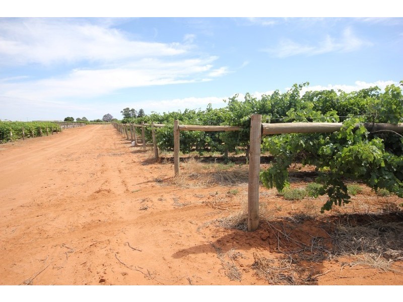 294,310,311 Tulloch Road, Red Cliffs VIC 3496