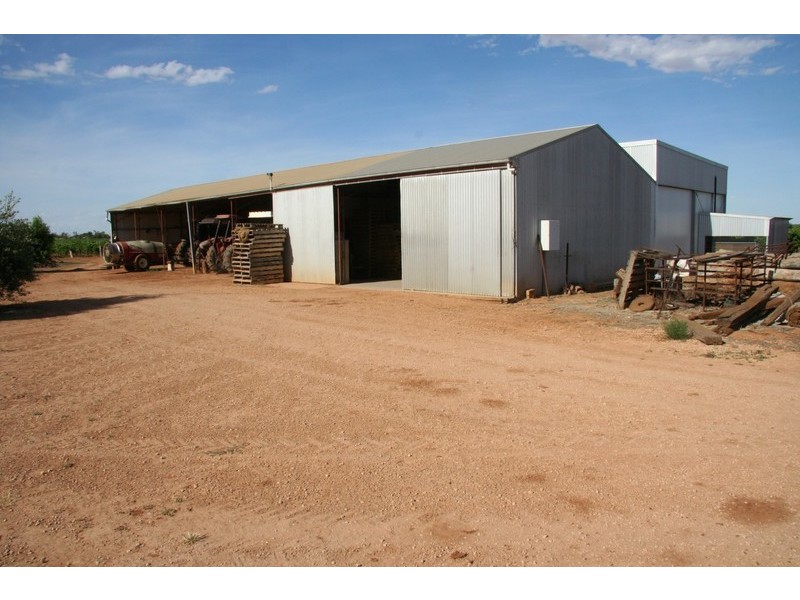 124-125 Seventh Street, Merbein South VIC 3505