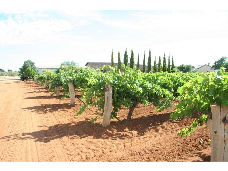 124-125 Seventh Street, Merbein South VIC 3505