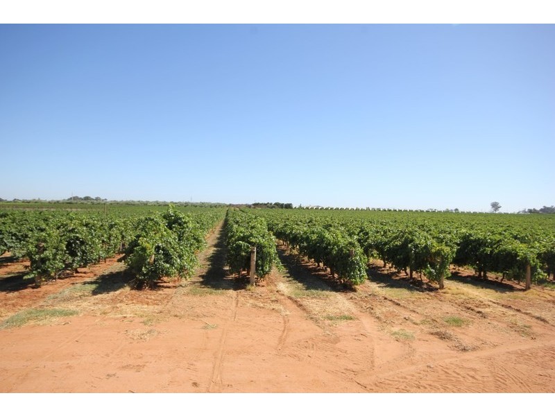 67 Pumps Road, Red Cliffs VIC 3496