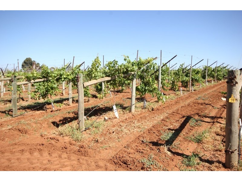 67 Pumps Road, Red Cliffs VIC 3496