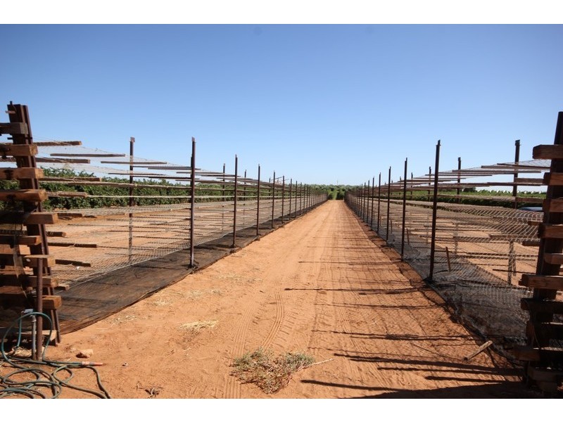 67 Pumps Road, Red Cliffs VIC 3496