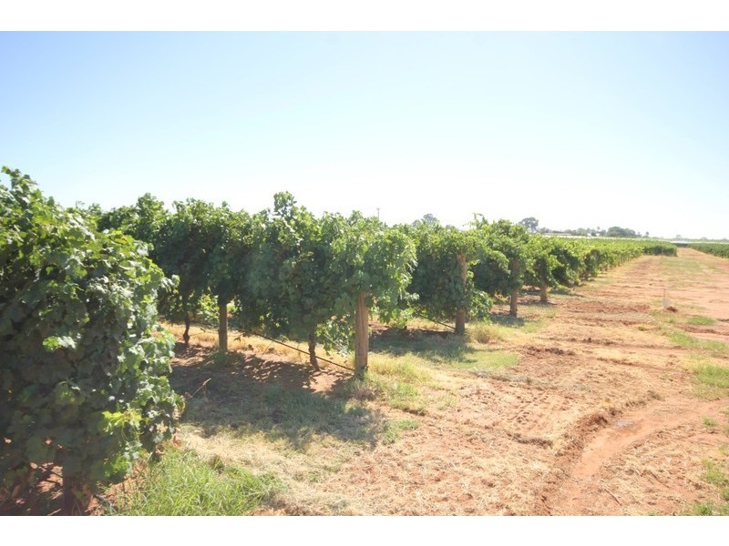 67 Pumps Road, Red Cliffs VIC 3496