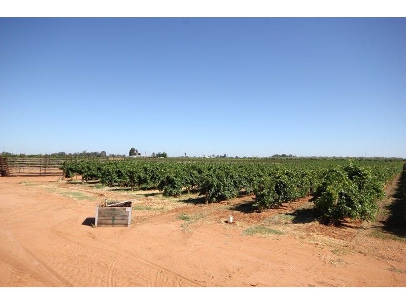 67 Pumps Road, Red Cliffs VIC 3496