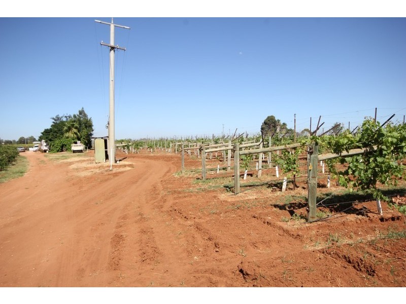 67 Pumps Road, Red Cliffs VIC 3496