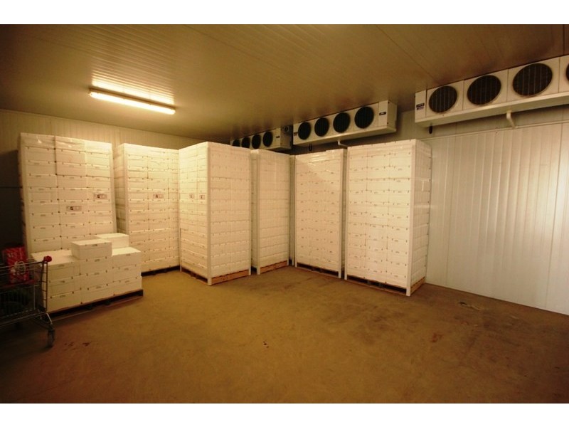 292 & 293 Coorong Avenue, Red Cliffs VIC 3496