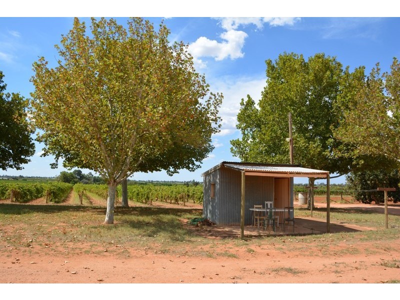 293 Main Avenue South, Birdwoodton VIC 3505