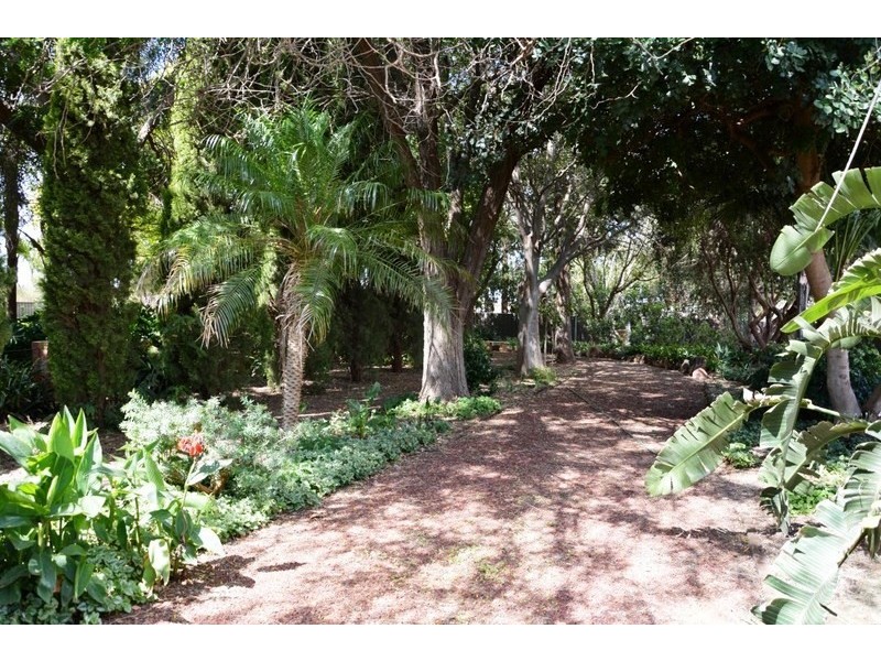 293 Main Avenue South, Birdwoodton VIC 3505