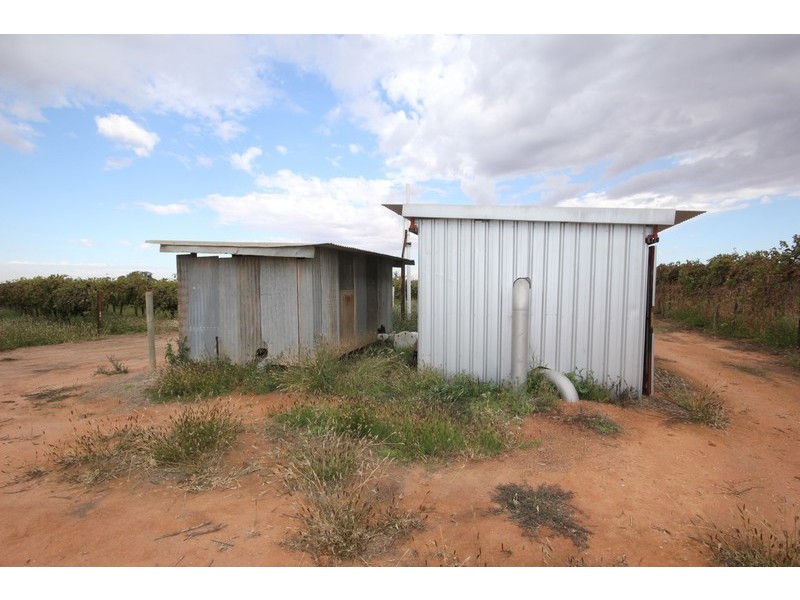 81 Wells Road, Merbein VIC 3505