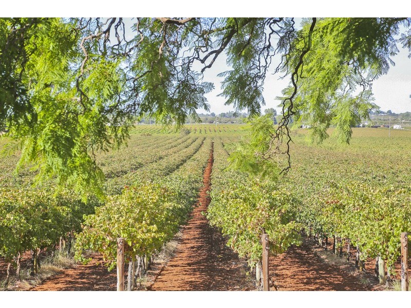 141 Pascendale Avenue, Yelta VIC 3505