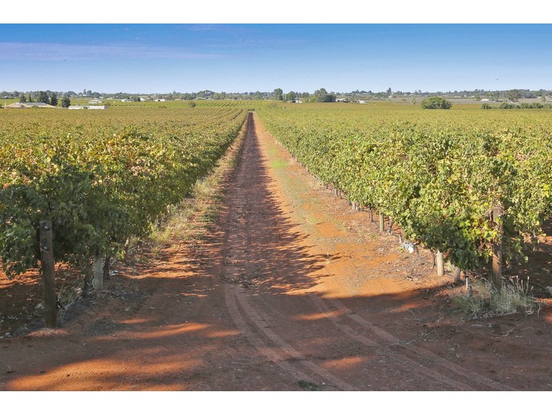 141 Pascendale Avenue, Yelta VIC 3505