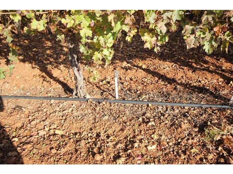 141 Pascendale Avenue, Yelta VIC 3505