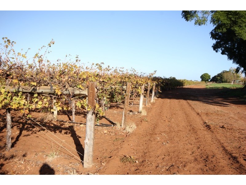 141 Pascendale Avenue, Yelta VIC 3505