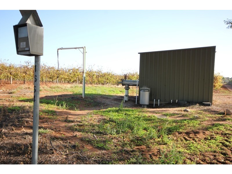 141 Pascendale Avenue, Yelta VIC 3505