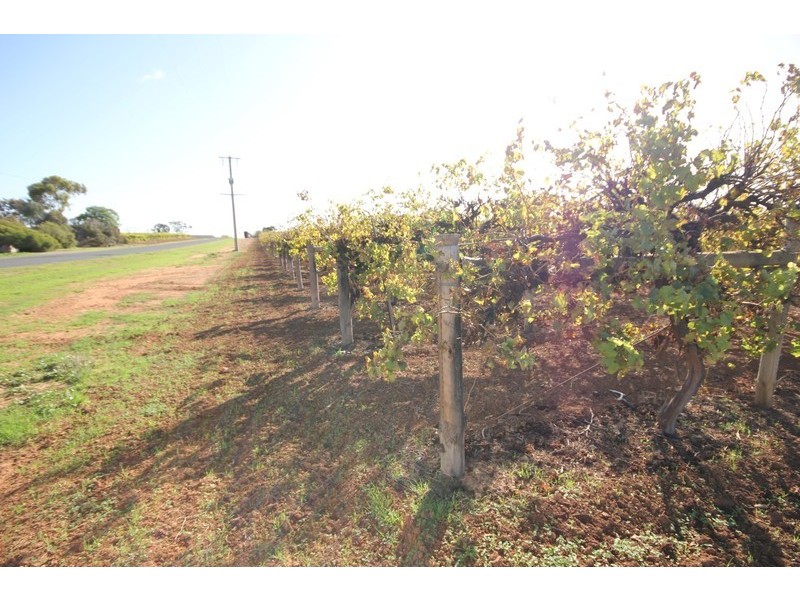 141 Pascendale Avenue, Yelta VIC 3505