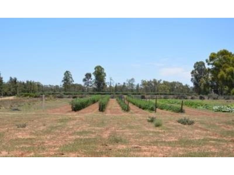 Lot 111 Pitman Avenue, Gol Gol NSW 2738