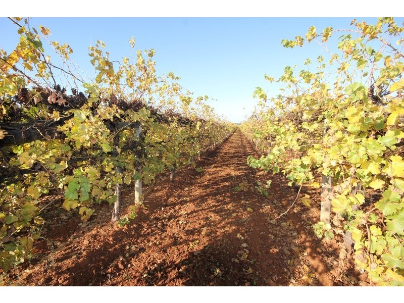 93 Little Cowra Avenue, Yelta VIC 3505