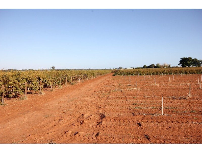 93 Little Cowra Avenue, Yelta VIC 3505