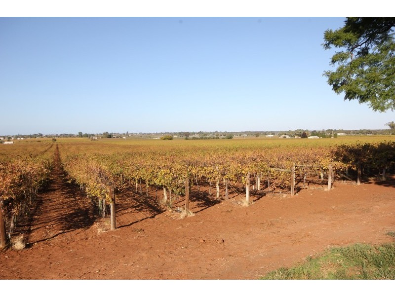 93 Little Cowra Avenue, Yelta VIC 3505