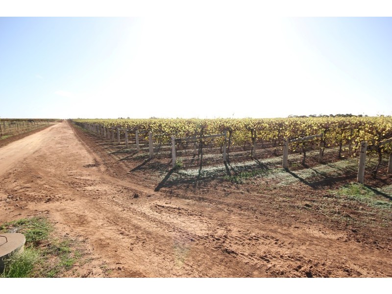 Lot 96 Little Cowra Avenue, Yelta VIC 3505