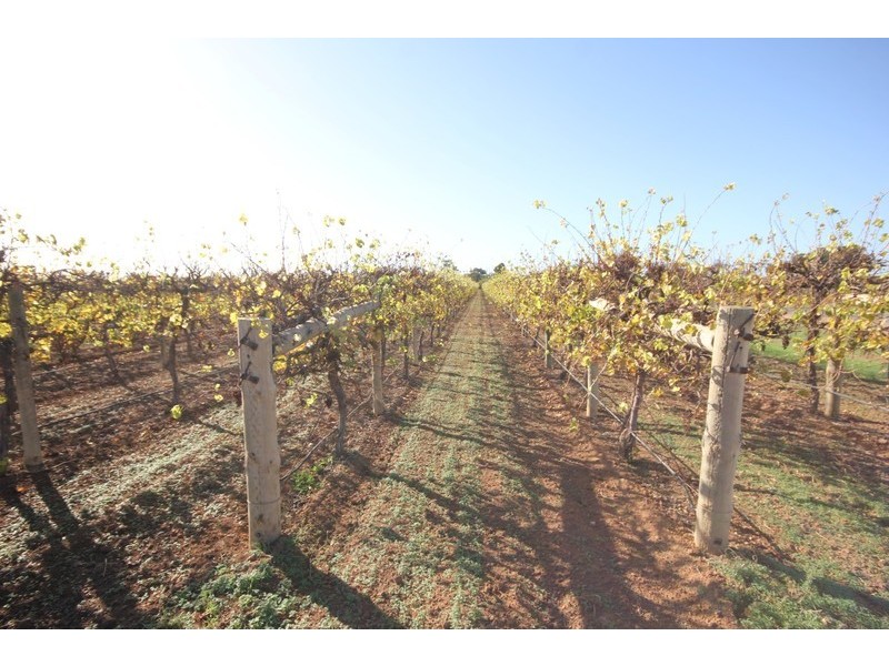 Lot 96 Little Cowra Avenue, Yelta VIC 3505