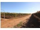 Lot 1 Pascendale Avenue, Yelta VIC 3505
