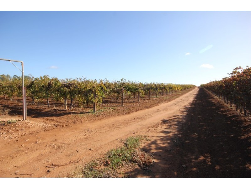 Lot 1 Pascendale Avenue, Yelta VIC 3505