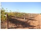 Lot 1 Pascendale Avenue, Yelta VIC 3505
