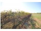 Lot 1 Pascendale Avenue, Yelta VIC 3505