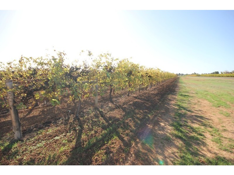 Lot 1 Pascendale Avenue, Yelta VIC 3505