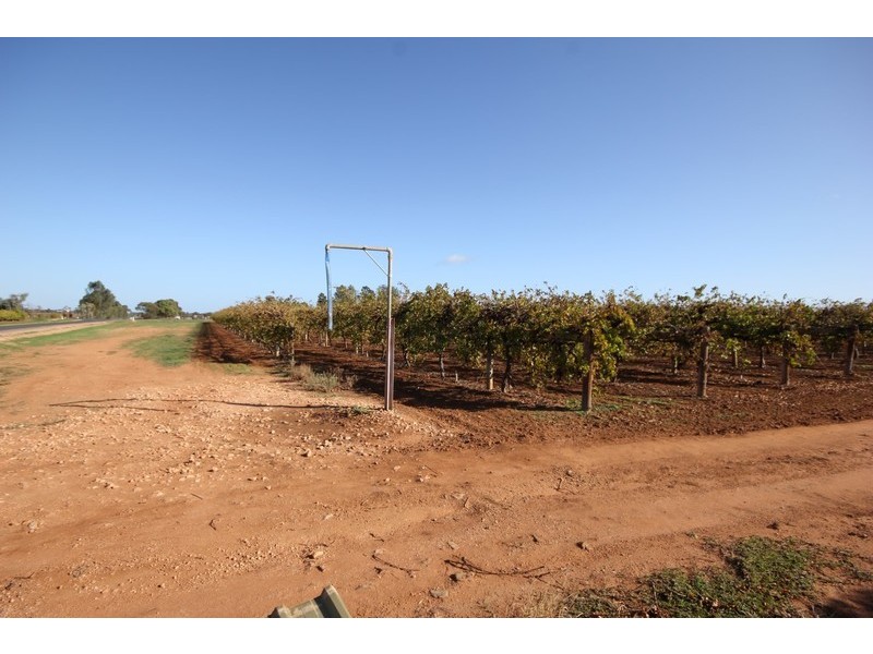 Lot 1 Pascendale Avenue, Yelta VIC 3505