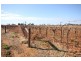 473 Coorong Avenue, Red Cliffs VIC 3496