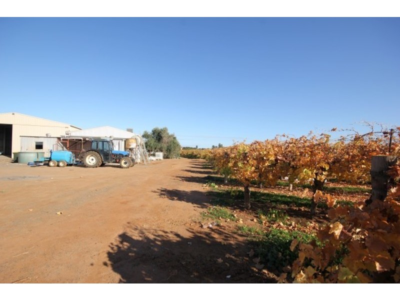 473 Coorong Avenue, Red Cliffs VIC 3496