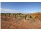 473 Coorong Avenue, Red Cliffs VIC 3496