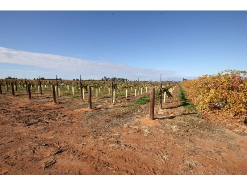 473 Coorong Avenue, Red Cliffs VIC 3496