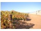 473 Coorong Avenue, Red Cliffs VIC 3496