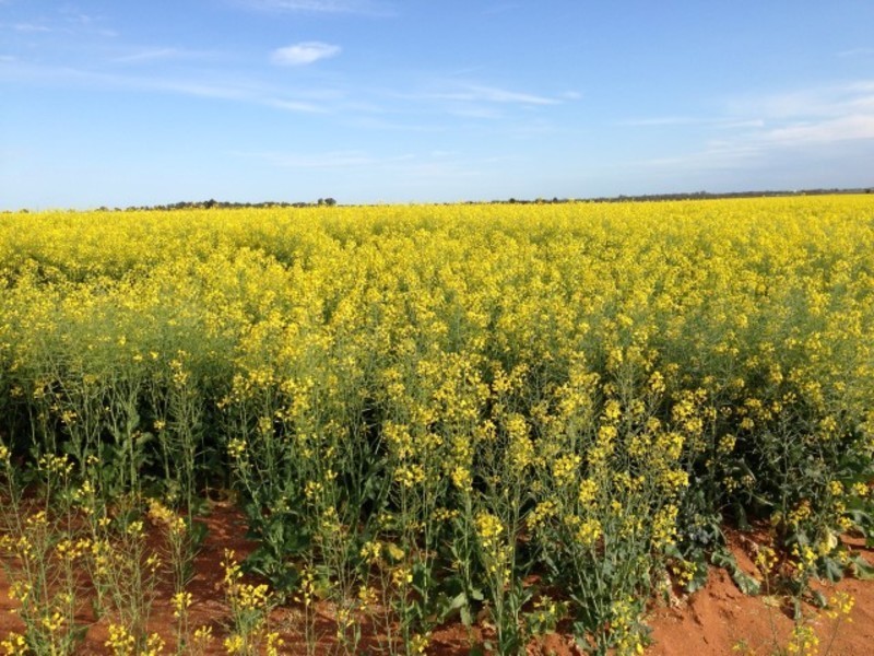 Lots 8, 9 & 10 Hocking Road, Happy Valley VIC 3549