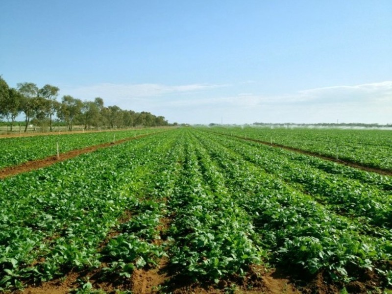 Lots 8, 9 & 10 Hocking Road, Happy Valley VIC 3549