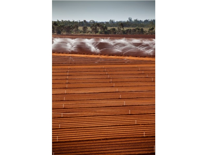 Lots 8, 9 & 10 Hocking Road, Happy Valley VIC 3549